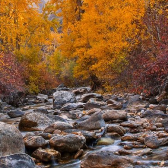 Meet your Posher, Kandi - Picture 1 of 1